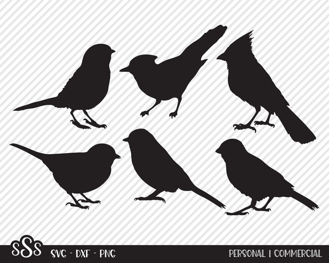Spring Bird Bundle | Outdoor SVG SVG Texas Southern Cuts 