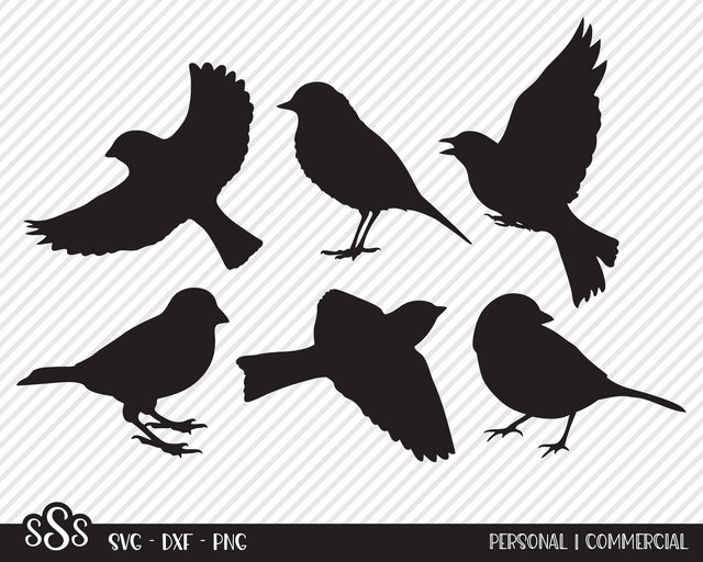 Spring Bird Bundle | Outdoor SVG SVG Texas Southern Cuts 