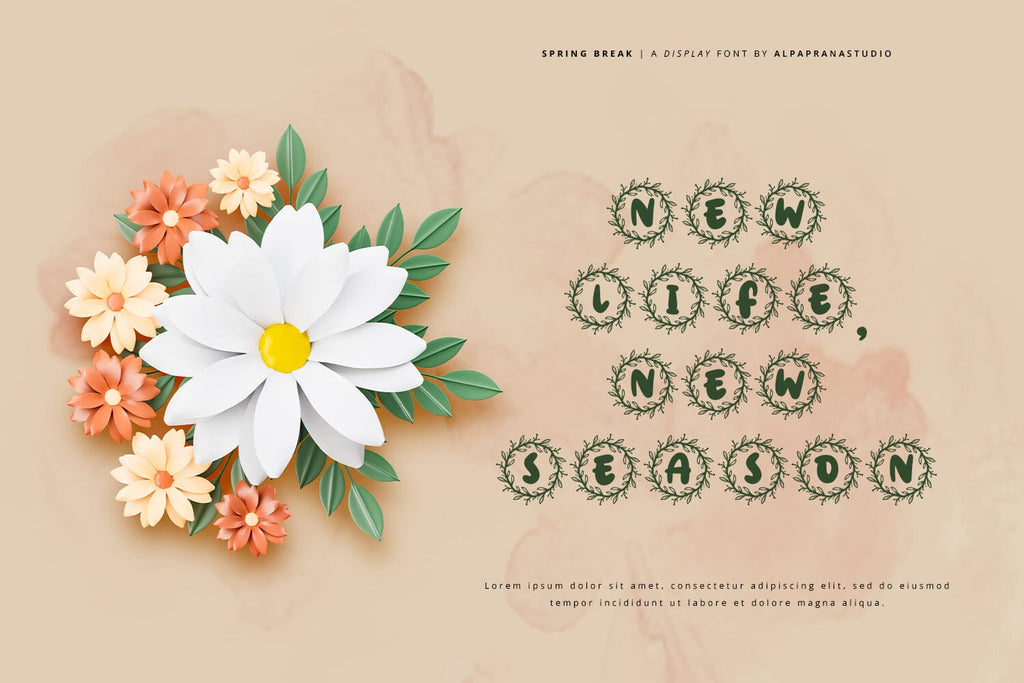 Spring Break - Decorative Display Font - So Fontsy