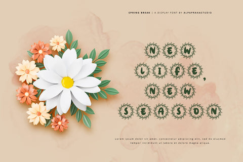 Spring Break - Decorative Display Font Font Alpaprana Studio 