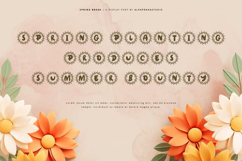 Spring Break - Decorative Display Font Font Alpaprana Studio 