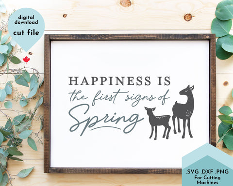 Spring Bundle - SVG Cut Files SVG Lettershapes 