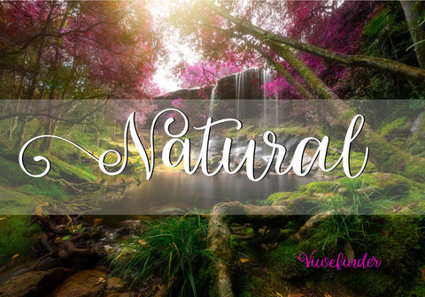 Spring Font BB Digital Arts 