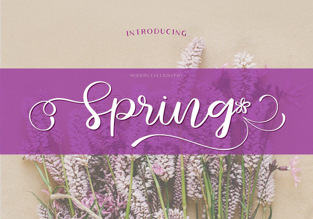 Spring Font BB Digital Arts 