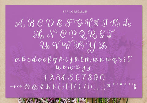 Spring Font BB Digital Arts 