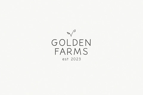 Spring Fresh - Handwritten Sans Font Font KA Designs 