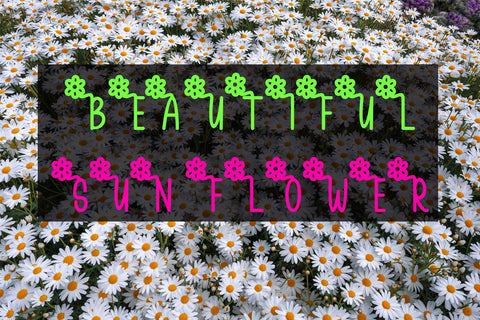 Spring Garden Font Supersemar Letter 