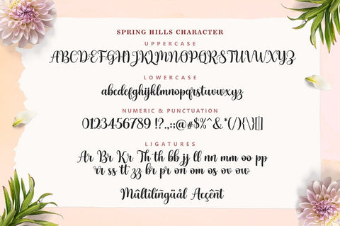 Spring Hills Script Font Lettersams 