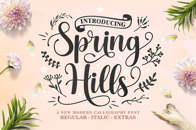 Spring Hills Script Font Lettersams 
