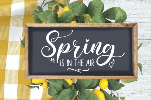 Spring Is In The Air I Spring Door Sign SVG I Spring Sign SVG Happy Printables Club 