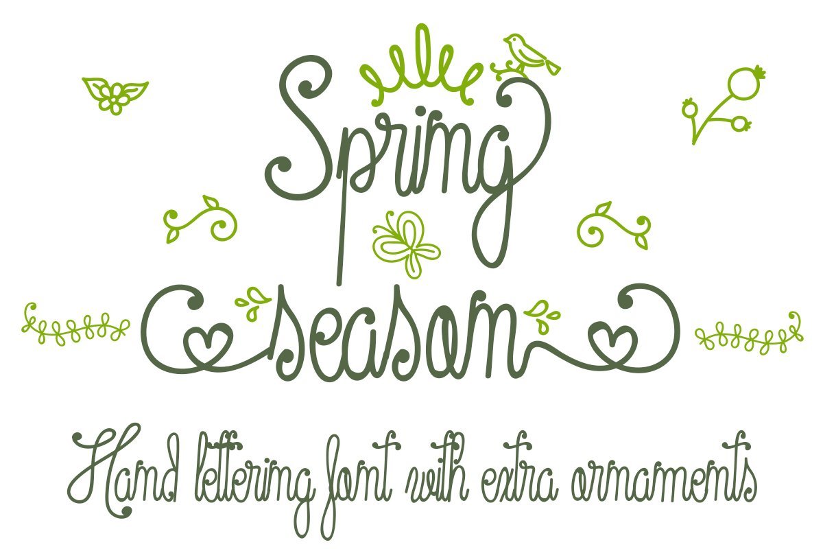 Spring Season script mono line font with decorations - So Fontsy