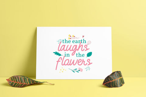 Spring Valey Font tlatoustype 