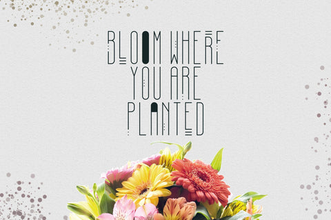 [Spring Vibes] April Display Font Font VPcreativeshop 