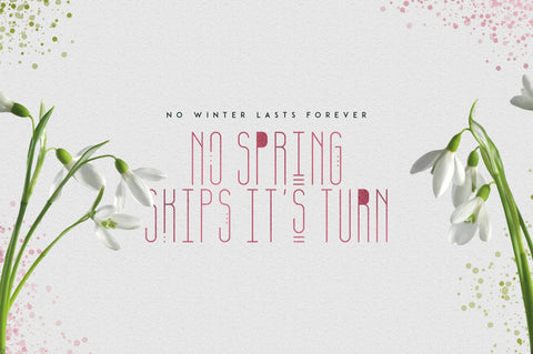 [Spring Vibes] April Display Font Font VPcreativeshop 