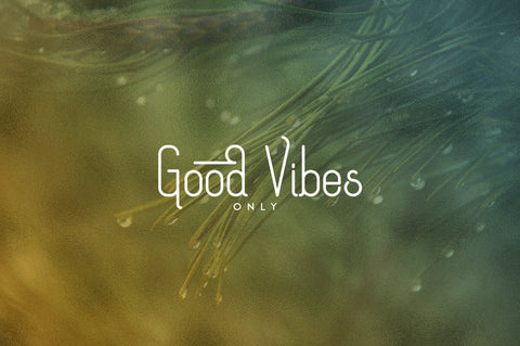 [Spring Vibes] Splendor Font Font VPcreativeshop 