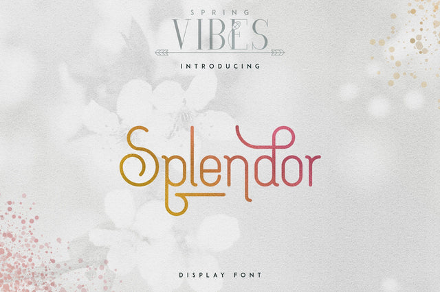 [Spring Vibes] Splendor Font Font VPcreativeshop 
