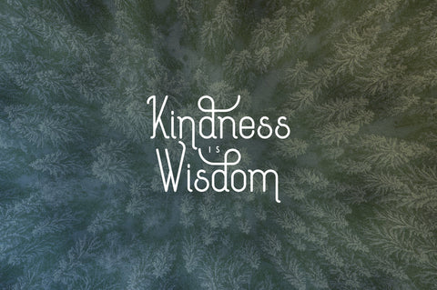 [Spring Vibes] Splendor Font Font VPcreativeshop 