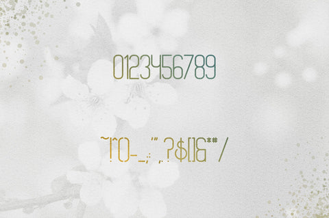 [Spring Vibes] Splendor Font Font VPcreativeshop 