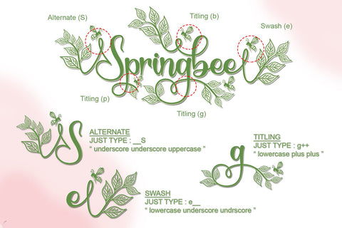 Springbee Font Afandi Studio 