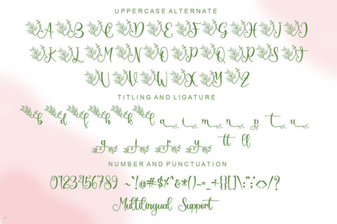 Springbee Font Afandi Studio 