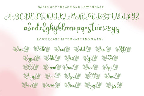 Springbee Font Afandi Studio 