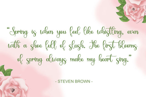 Springbee Font Afandi Studio 