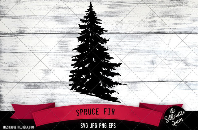 Spruce Fir SVG -Vector Art Commercial & Personal Use- Cricut,Silhouette,Cameo,Vinyl Cut SVG Loveleen Kaur 