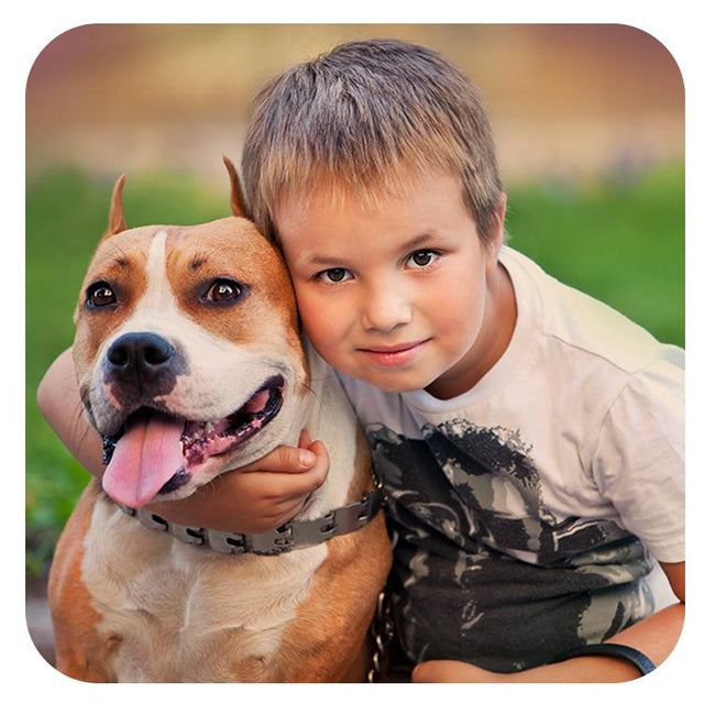 Square Magnet Natural Wood Sublimation Templates: Unisub Blank Template #4800 SVG Unisub Sublimation 