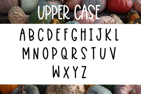 Squashy Noodles - A fun font duo Font Twiggy Smalls Crafts 