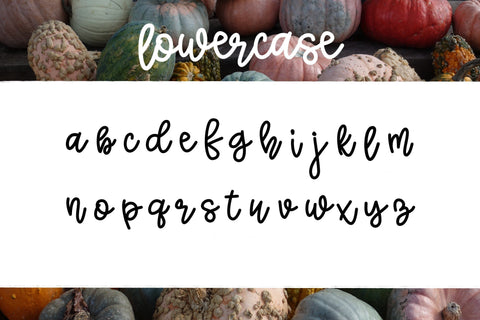 Squashy Noodles - A fun font duo Font Twiggy Smalls Crafts 