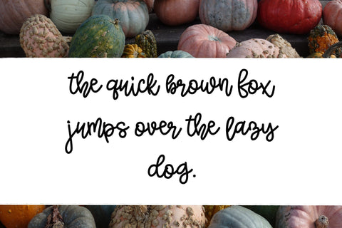 Squashy Noodles - A fun font duo Font Twiggy Smalls Crafts 