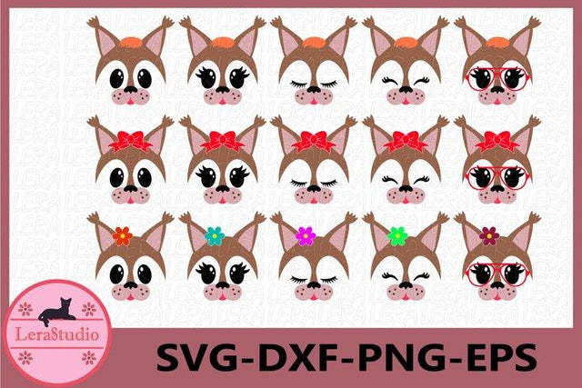 Squirrel Face SVG SVG Lerastudio 