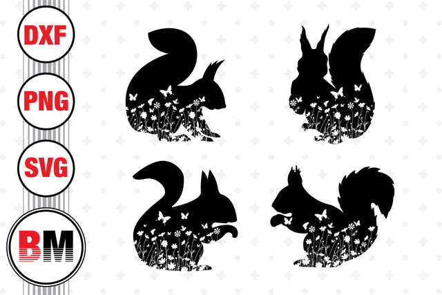 Squirrel Floral SVG, PNG, DXF Files SVG BMDesign 