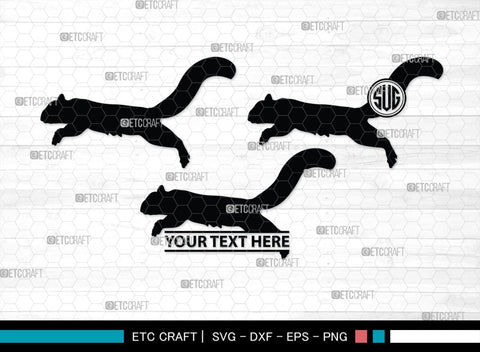 Squirrel Monogram, Squirrel Silhouette, Squirrel SVG, Forest Squirrel Svg, Squirrel Svg, Animal Svg, Forest Animal Svg, SB00325 SVG ETC Craft 
