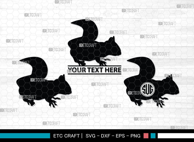 Squirrel Monogram, Squirrel Silhouette, Squirrel SVG, Forest Squirrel Svg, Squirrel Svg, Animal Svg, Forest Animal Svg, SB00325 SVG ETC Craft 