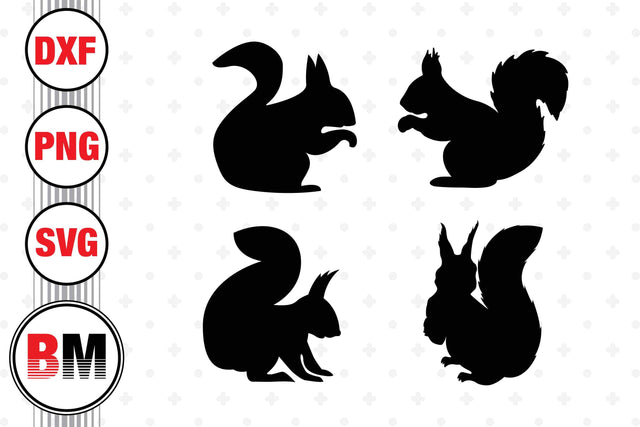 Squirrel Silhouette SVG, PNG, DXF Files SVG BMDesign 
