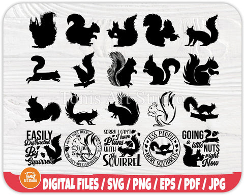 Squirrel SVG Cut Files | Squirrel Svg Bundle | Squirrel Clipart | Squirrel Silhouette SVG TonisArtStudio 