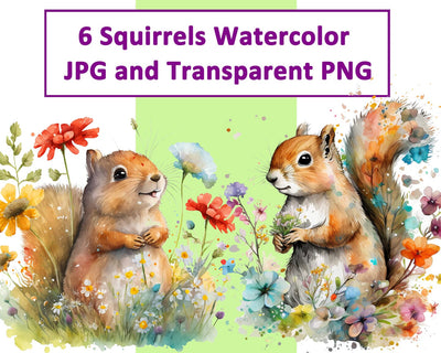 Squirrel Watercolor, Spring, Flowers Transparent PNG, JPG Sublimation nikola 