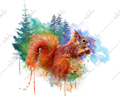 Squirrel Watercolor Sublimation Clipart PNG JPG Sublimation nikola 