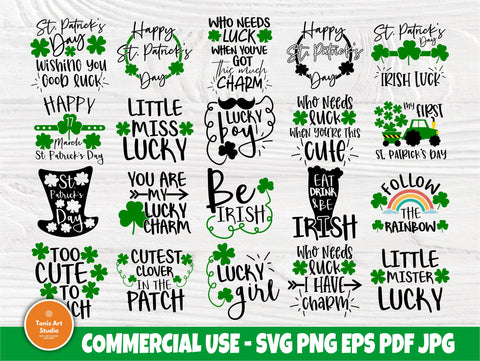 St Patrick's Day SVG Bundle | Funny St Patrick's Signs | Irish Svg | Lucky Svg | St Patricks Designs | Cricut and Silhouette Files SVG TonisArtStudio 