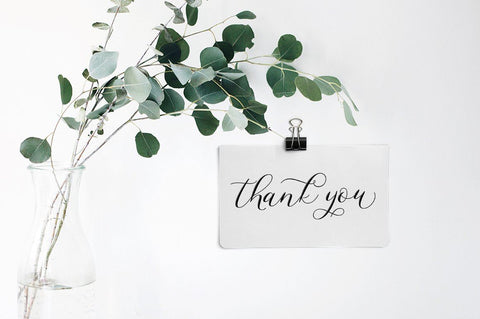 Stacylia Script Font Straight.co 