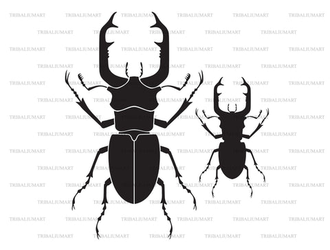 Stag beetle insect SVG TribaliumArtSF 