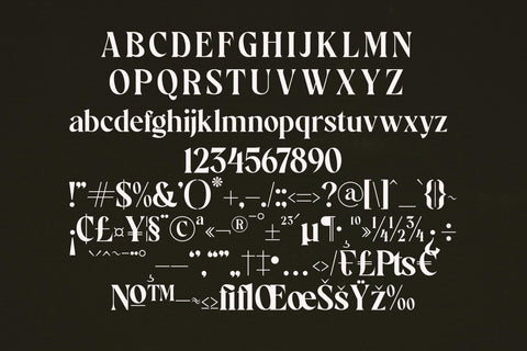 https://sofontsy.com/cdn/shop/products/stanley-typeface-font-storytype-studio-887769_large.jpg?v=1658897206