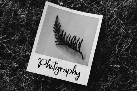 Starlight Font LetterdayStudio 