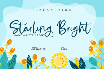 Starling Bright-Elegant Handwritten Font Font yumnatype 