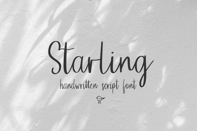 Starling Font Sunday Nomad 