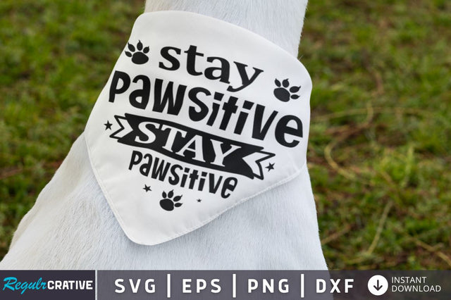 Stay pawsitive stay pawsitive SVG SVG Regulrcrative 
