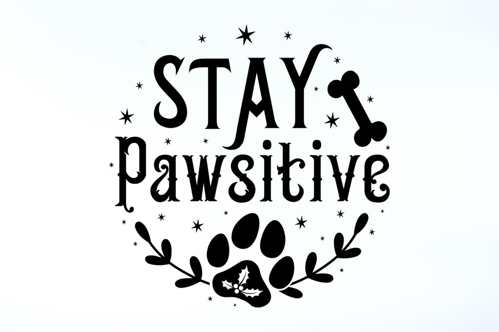 Stay pawsitive SVG Design - So Fontsy