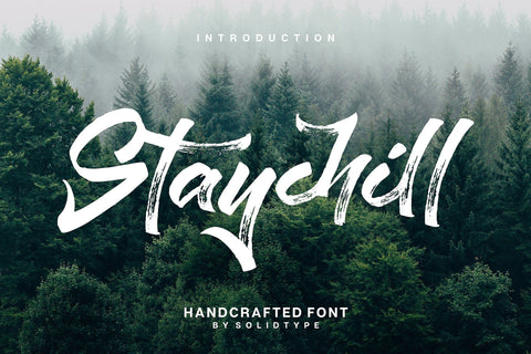 Staychill Brush Font Font Solidtype 
