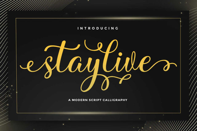 Staylive Font Rotterlab studio 